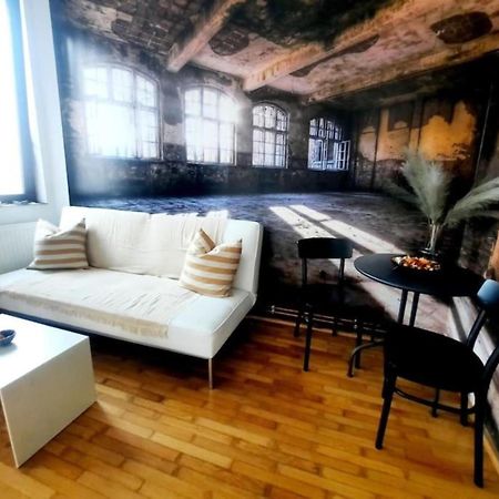 One Bedroom By The Park Old Town Belle Vue Timişoara Exterior foto
